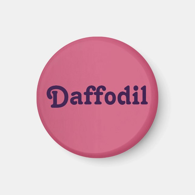 Aimant Daffodique magnétique (Devant)