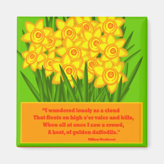 Aimant Daffodiques