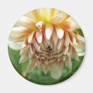 Aimant Dahlia