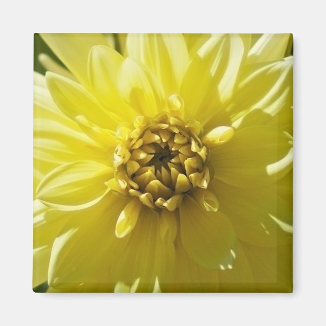 Aimant Dahlia Jaune (Devant)