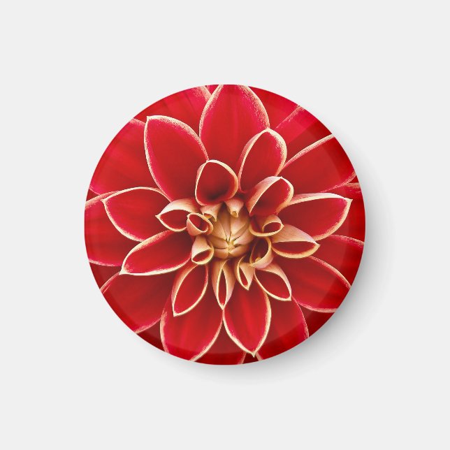 Aimant Dahlia Rouge Éclatant (Devant)