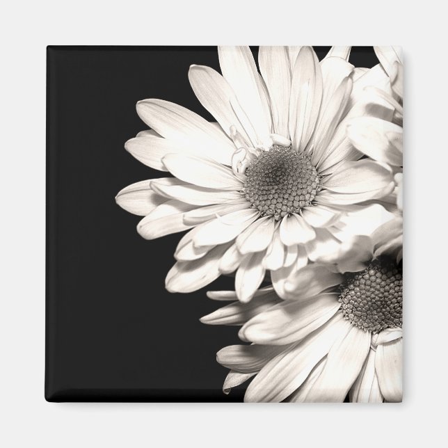 Aimant Daisies (Devant)