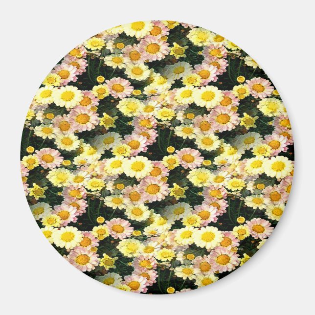 Aimant Daisies Galore...... (Devant)