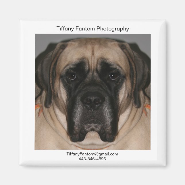 Aimant Daisy Promo (Devant)