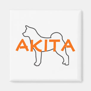 Aimant d'Akita