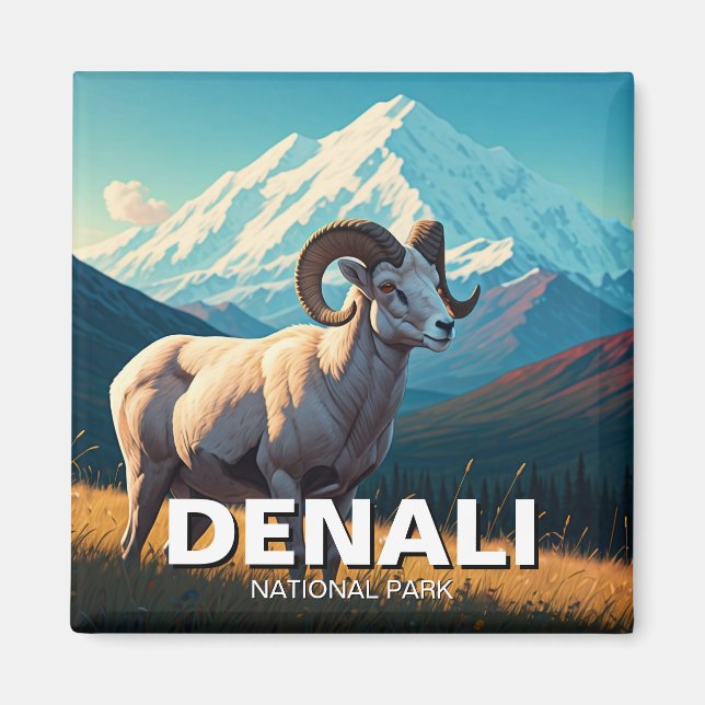 Aimant Dall Sheep in Denali National Park Alaska (Devant)