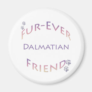 Aimant Dalmatie Furever