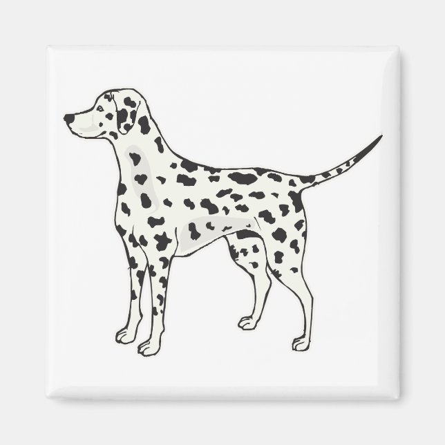 Aimant Dalmatien (Devant)