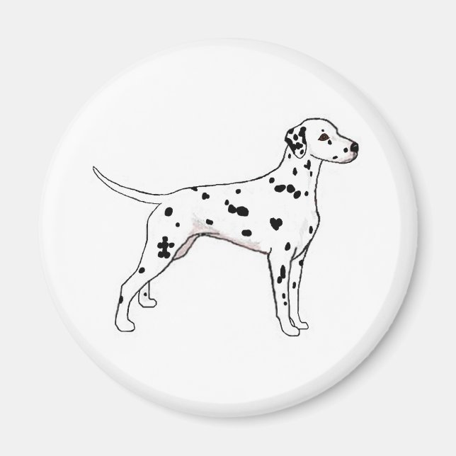 Aimant Dalmatien à pointes noires (Devant)