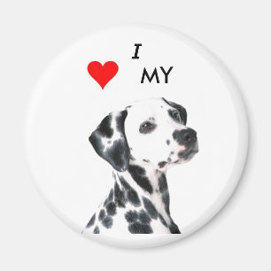 Aimant dalmation1, VBRSMCA27ZNVGCAQG0F1BCAMZLQ8CCA0X9H…