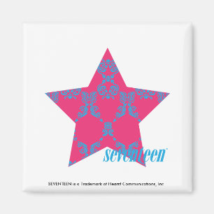 Aimant Damask Aqua-Magenta 2