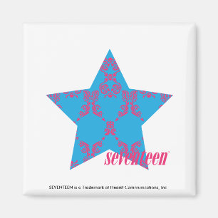 Aimant Damask Magenta-Aqua 2