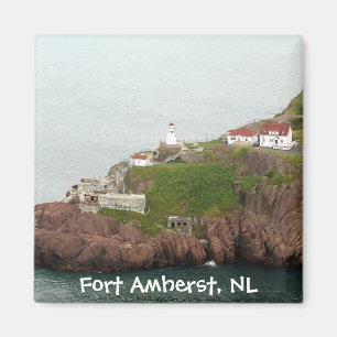 Aimant d'Amherst de fort