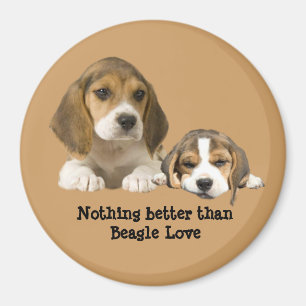 Aimant d'amis de beagle