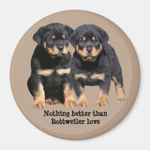 Aimant d'amis de rottweiler