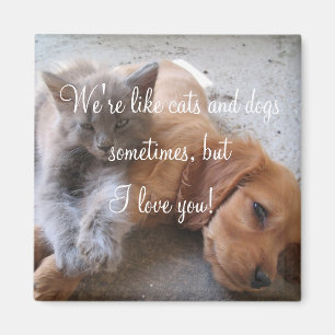 Aimant d'amour de chats et de chiens