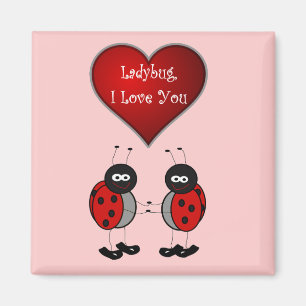 Aimant d'amour de coccinelle