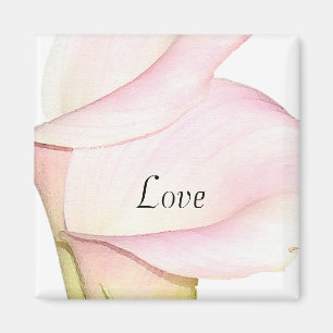 Aimant d'amour de zantedeschias