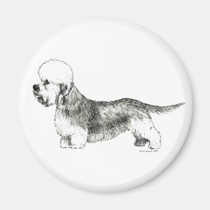 Aimant Dandie Dinmont Terrier