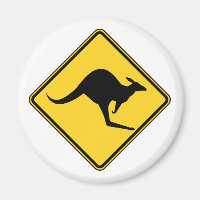 danger kangourou en australie