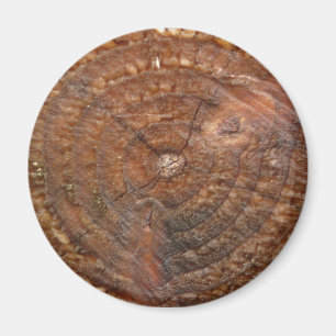 aimant d'anneau rond d'arbre
