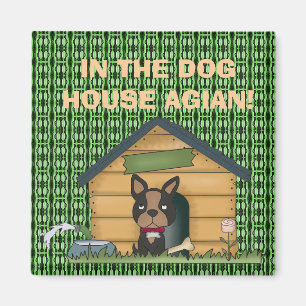 AIMANT DANS LA MAISON DES CHIENS AGIAN !