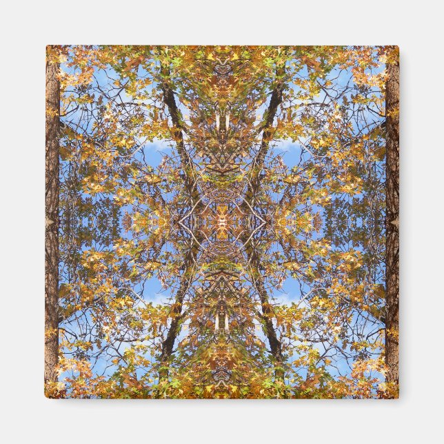 Aimant Dans la rue... (Devant)