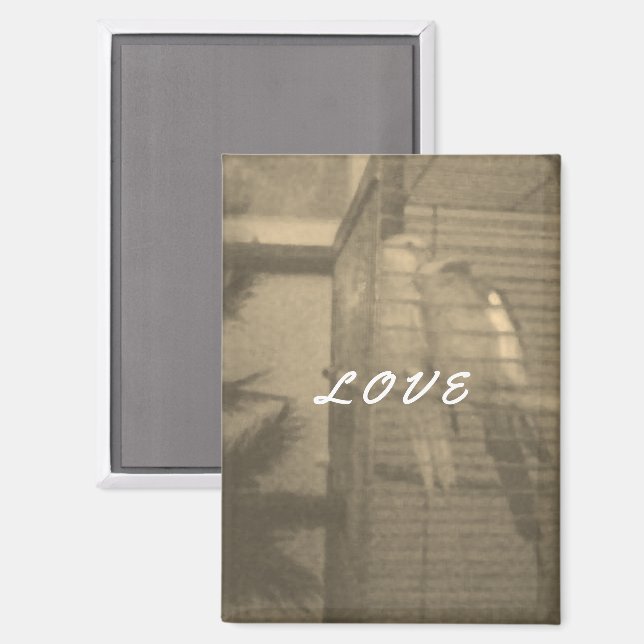 Aimant Dans l'aimant (Recto/Verso)