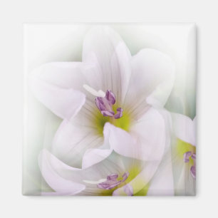 Aimant danse des fleurs
