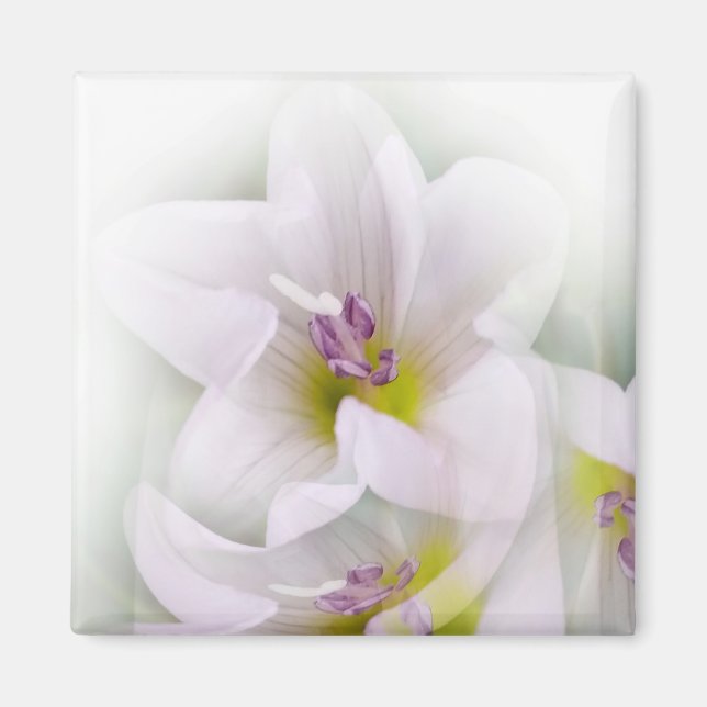 Aimant danse des fleurs (Devant)