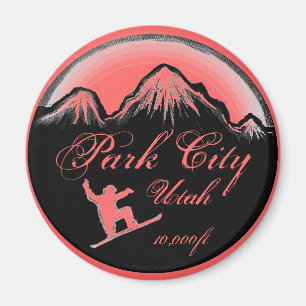 Aimant d'art de surf des neiges de rose de Park