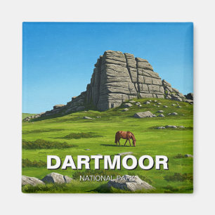 Aimant Dartmoor National Park Horse Travel