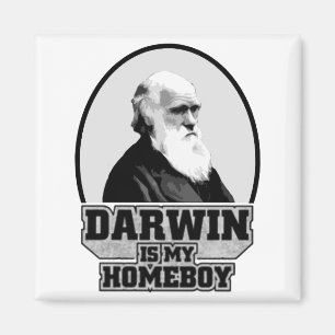 Aimant Darwin Est Mon Enfant