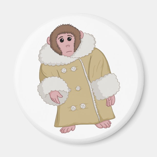 Aimant Darwin le singe Ikea (Devant)