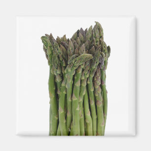 Aimant d'asperge