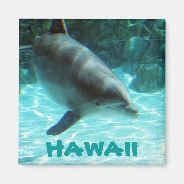 Aimant Dauphin d'Hawaii (Devant)