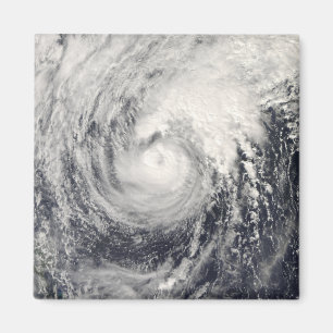 Aimant Dauphin du typhon dans la mer des Philippines