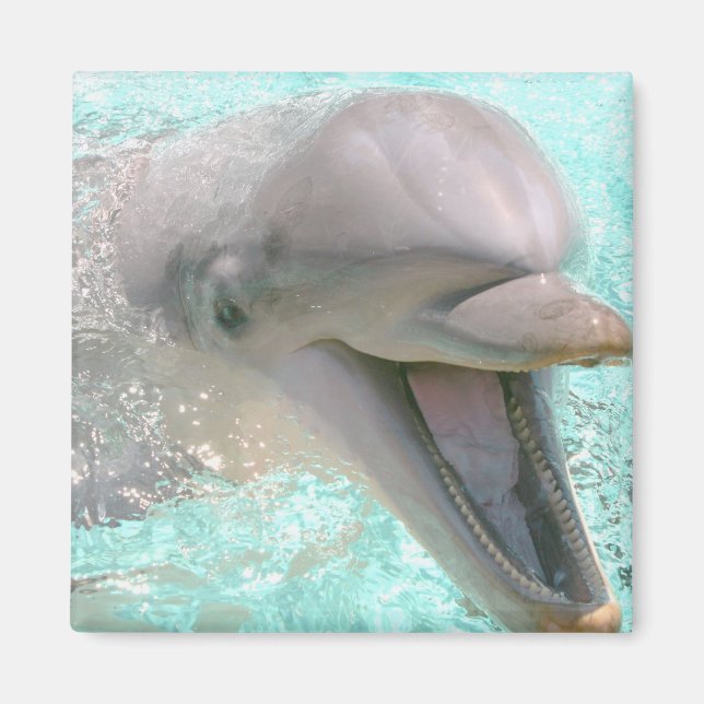 Aimant Dauphin Souriant Heureux (Devant)