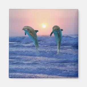 Aimant Dauphins au lever de soleil