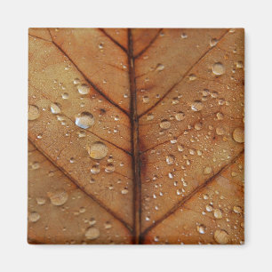 Aimant d'automne