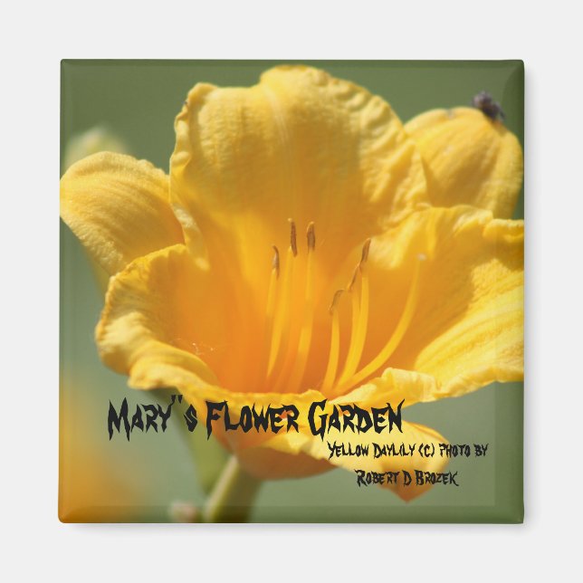 Aimant Daylilie Jaune (Devant)