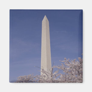 Aimant DC de l'Amérique du Nord, Etats-Unis, Washington.