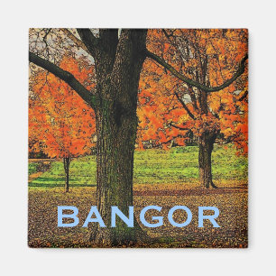 Aimant de Bangor