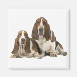 Aimant de Basset Hound