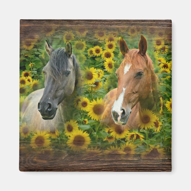 Aimant De beaux chevaux dans le champ de tournesols (Devant)