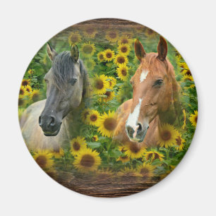 Aimant De beaux chevaux dans le champ de tournesols