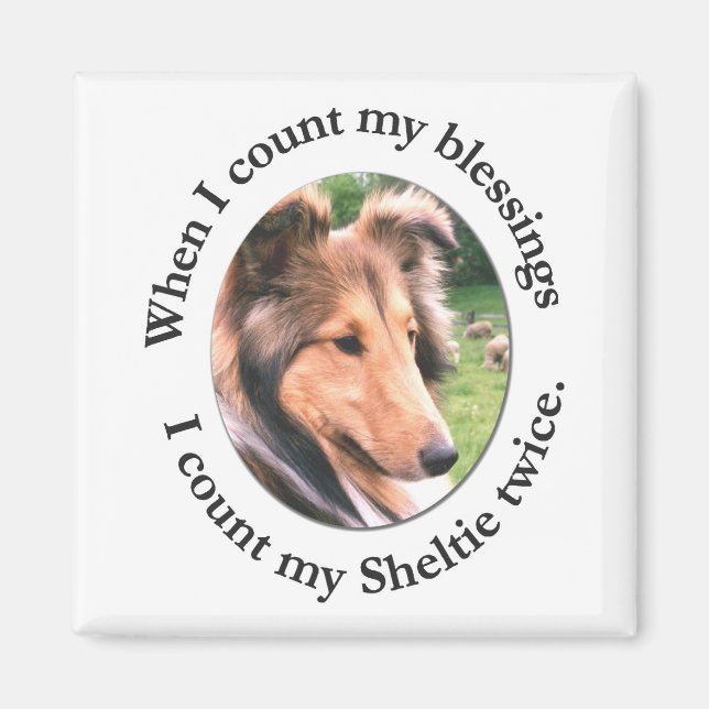 Aimant de Bénédiction de Sheltie (Devant)