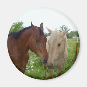 Aimant De BFF de meilleurs amis chevaux pour toujours -