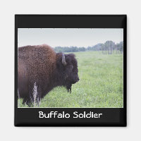 Aimant de bison des plaines américaines
