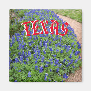 Aimant de bluebonnet de Texas